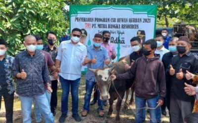 PT MBR Sumbangkan Lima Ekor Sapi Kurban, Kades dan BPD Doakan PT MBR Semakin Maju